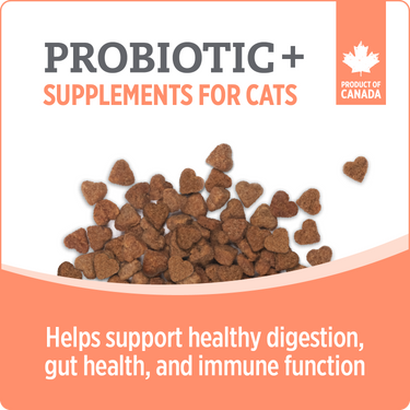 Nutrience Care Supplement for Cats - Probiotic+ - 180 g