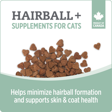 Nutrience Care Supplement for Cats - Skin & Coat/Hairball+ - 180 g