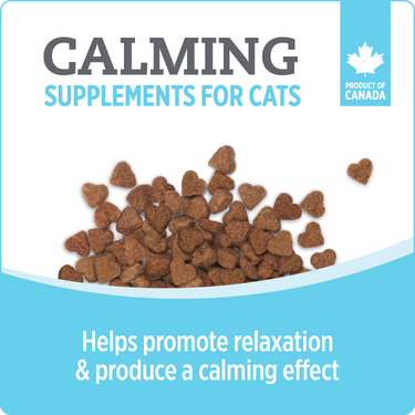 Nutrience Care Supplement for Cats - Calming - 180 g