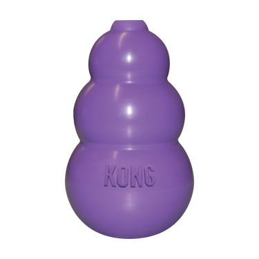 Kong Kitty Kong