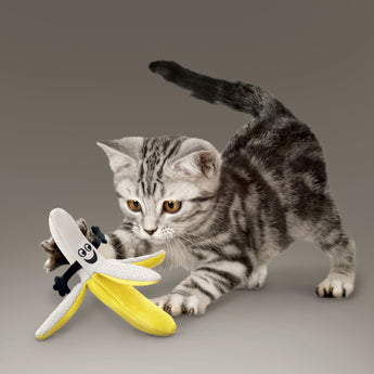 Kong Cat Better Buzz Banana