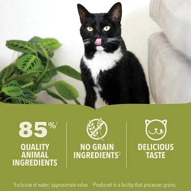 Acana Premium Pâté, Salmon Recipe Wet Cat Food