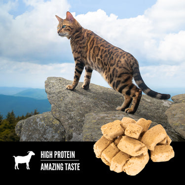 Orijen - Tundra Cat Treats 35g