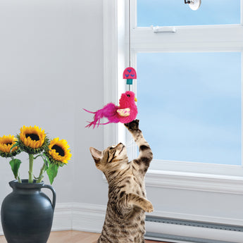 Kong Cat Active Window Teaser