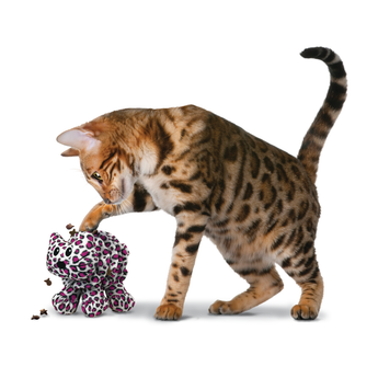 KONG Cat Puzzlements Forage Kitty Assorted