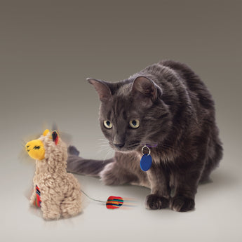 Kong Cat Softies Buzzy Llama Cat Toy