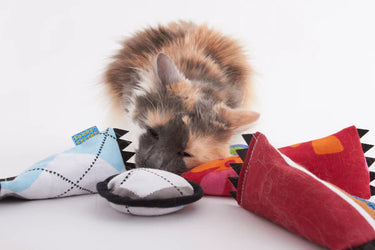 Doggles Kickeroo Organic Kicks Catnip Toy SALE