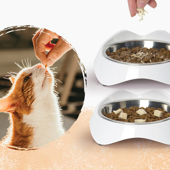 Catit Freeze-Dried Raw Treat, Chicken, 28.4 g (NEW)