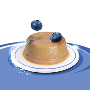 Catit Creamy Cups - Tuna & Chicken Mousse with Blueberry - 4 x 25g