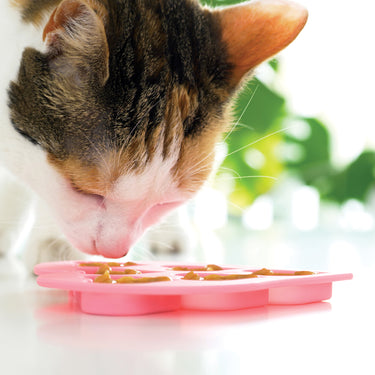 Catit Creamy Heart Shape Ice Tray (NEW)