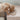 Dexypaws Dog Head Hide and Seek Silicone Snuffle Mat, Beige for Cat or Dog