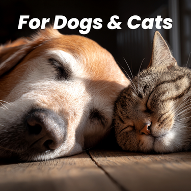 Myco Pet – Focus & Calm Supplement – 30g (GLASS)