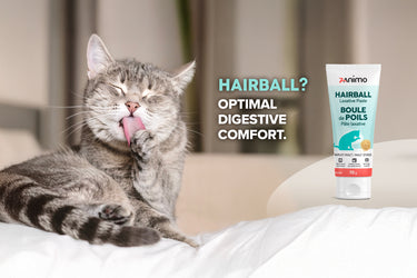 Zanimo Hairball, Natural Laxative Paste - Barley Malt, For Cats 115 g