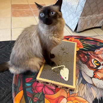 Riley & Rex Carboard Cat Scratcher (NEW)