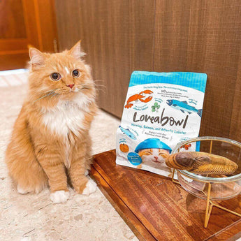 Loveabowl Pet Food – Salmon Cat Food 2.2 lbs
