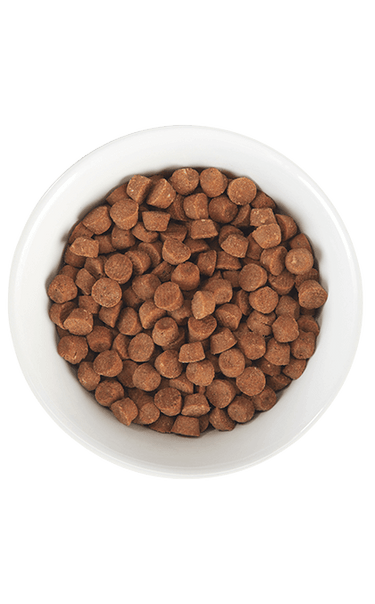 Tiki Cat® Born Carnivore™ Baby Kitten Health: Deboned Chicken & Egg Recipe Dry Kitten Food