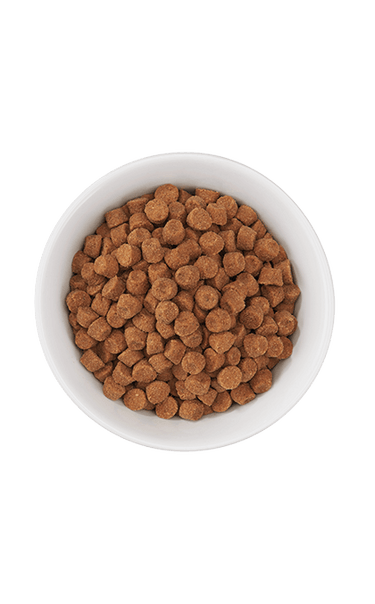 Tiki Cat® Born Carnivore™ Optimal Weight: Turkey Recipe Dry Cat Food