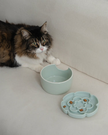 Dexypaws Raised Ceramic Cat Bowl with Slow Feeder, Flower, Sage Green 7.75 oz