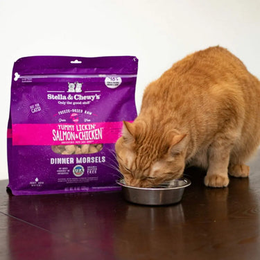 Stella & Chewy's  Yummy Lickn' Salmon & Chicken  Freeze Dried Dinner Morsels Cat Food