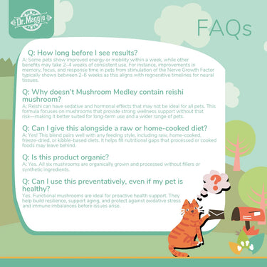 NaturPet® Dr. Maggie Organic Mushroom Medley for Cats & Dogs 88g
