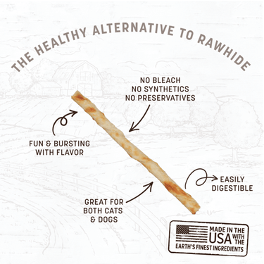 Earth Animal® No-Hide® Beef Recipe Stix Natural Rawhide Alternative Dog & Cat Chews (20 Pack)