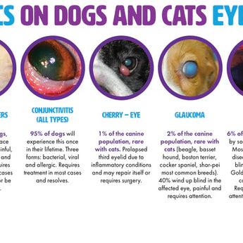 Pet Eyes Chicken Food Topper Vitamin Powder 190 Scoops (NEW)