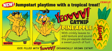 Yeowww Pineapple Cat