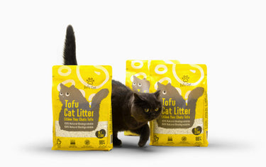 Dofu Cat Tofu Litter 2.5 kg (NEW)