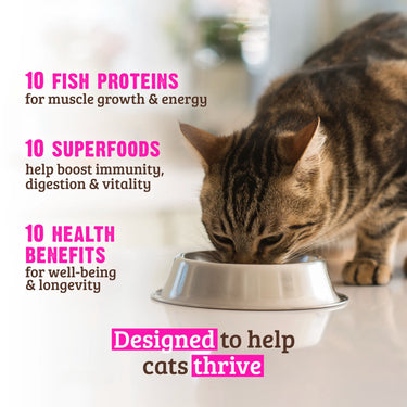 RAWZ® 10+ Essentials Fish & Dehydrated Fish Dry Cat Food