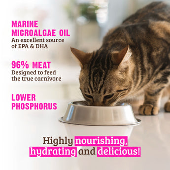 Rawz Phosphorus Turkey (in broth) 5.5 oz