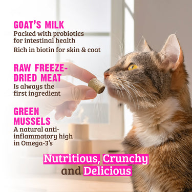 Rawz Freeze Dried Rabbit & Goat's Milk & Green Mussels 28g (1oz)