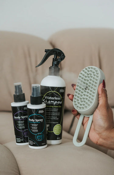 Dexypaws Perfect Fur Spritz & Brush Pet Curry Comb For Pets