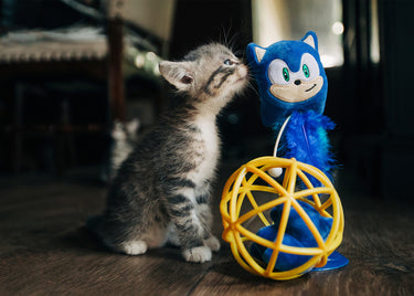 Multipet® Sonic the Hedgehog® Cat Swatter Cat Toy