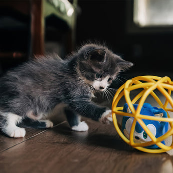 Multipet® Sonic the Hedgehog® Cage Ball for Cats