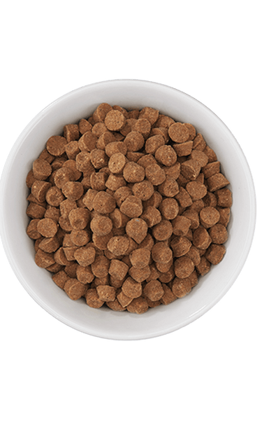 Tiki Cat® Born Carnivore™ Silver Senior Health: Chicken & Herring Meal Recipe Dry Cat Food