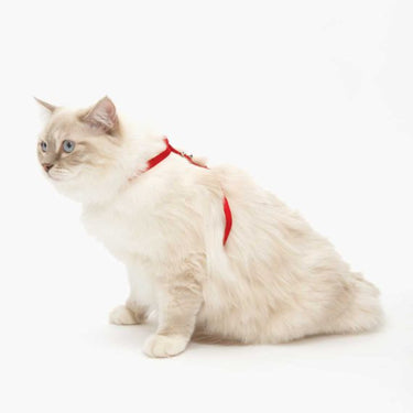 Catit Adjustable Nylon Harness & Leash Set - Red SALE
