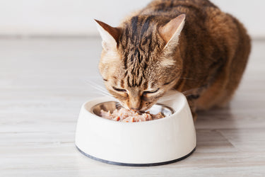 Fussie Cat – Premium Tuna with Ocean Fish Formula in Aspic – 2.82 oz