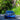 Transportation to Hull, Vanier, Gatineau, or the Airport