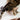 Food for 4 Cats/Day