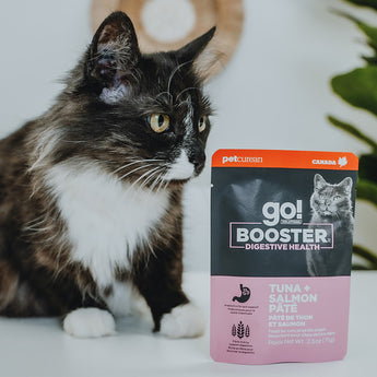 Go! Booster Digestive Health Tuna And Salmon Pate Cat 2.5oz