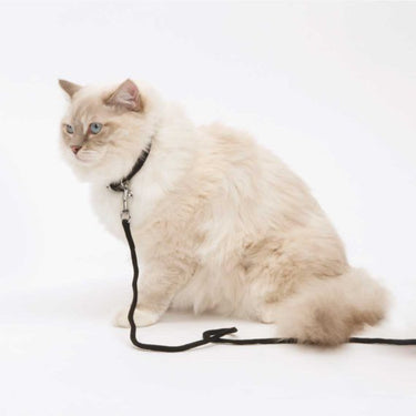 Catit Nylon Tie-out - Black