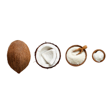 LIVSTRONG Coconut Oil Dog & Cat Health Support 400 g