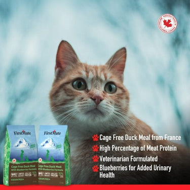 FirstMate Cage Free Duck Meal & Blueberries Formula for Cats