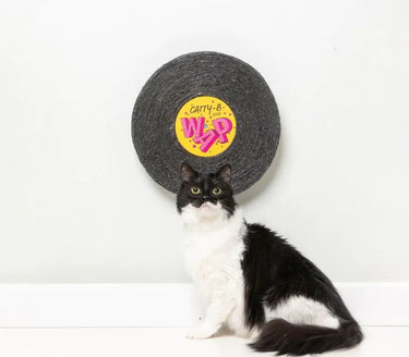 FuzzYard Catty-B - Record Cat Scratcher (NEW)