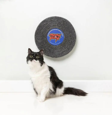 FuzzYard Meow Punk - Record Cat Scratcher (NEW)