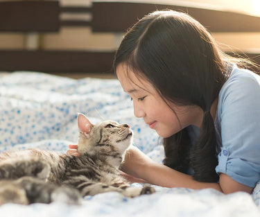 Pet Eyes Freeze-Dried Vitamin Treats for Cats - Chicken