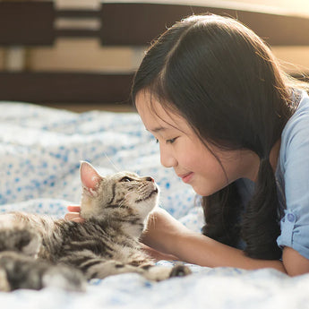 Pet Eyes Freeze-Dried Vitamin Treats for Cats - Chicken (NEW)