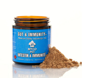 Myco Pet – Gut & Immunity + Supplement – 30g (GLASS)