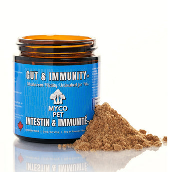 Myco Pet – Gut & Immunity + Supplement – 30g (GLASS)