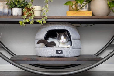 Travel Cat The Meowbile Home - Convertible Cat Bed & Cave (NEW)
